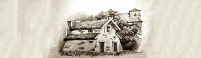 Peetri Toll